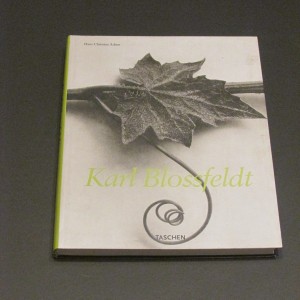 Blacksmith design ideas book for
                                  sale Karl Blossfeldt
